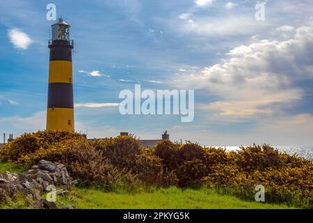 1844, St. John's Point Lighthouse, der höchste Leuchtturm an der Küste auf der Insel Irland Stockfoto