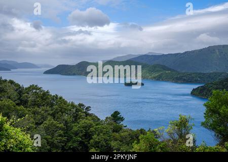 Shakespeare Bay bei Picton, Marlborough Sounds, South Island, Neuseeland Stockfoto