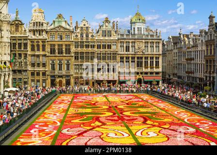 Brüssel Grand Place Brüssel mit dem Blumenteppich Art-Deco-Thema Brüssel Belgien Europa