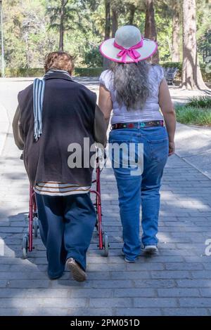 Rückansicht einer begleitenden Pflegekraft neben einer älteren Frau, die mit ihrer Gehhilfe im öffentlichen Park läuft, Tochter, die ihre Mutter unterstützt und die Sonne genießt Stockfoto