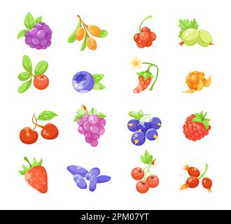 Verschiedene Beeren Flachvektorabbildungen eingestellt Stock Vektor