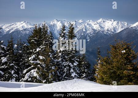 WA23293-00...WASHINGTON - Winterblick auf die Olympus Range vom Hurricane Ridge im Olympic National Park aus. Stockfoto