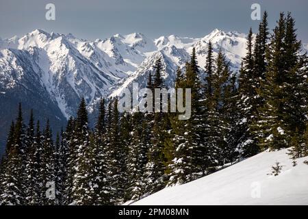 WA23294-00...WASHINGTON - Winterblick auf die Olympus Range vom Hurricane Ridge im Olympic National Park aus. Stockfoto