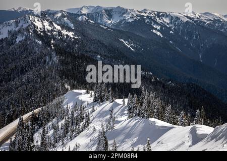 WA23302-00...WASHINGTON - Blick vom Hurricane Ridge über den Obstruction Point Ridge zum Blue Mountain im Deer Park im Olympic National Park. Stockfoto