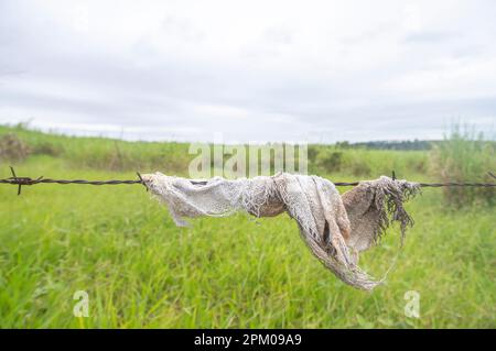 Altes Tuch in einem Zaun mit Vegetation im Hintergrund an einem bewölkten Tag, Konzept der Umweltverschmutzung der Natur. Stockfoto