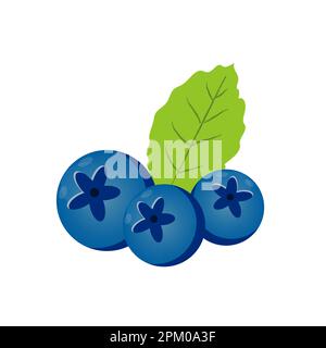 Vektor-Blaubeeren mit Minzblättern isoliert auf weißem Hintergrund. Vektor Stock Vektor