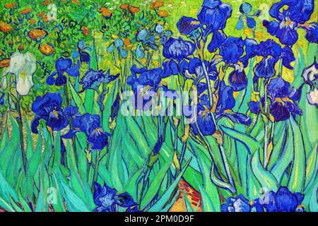 Iris, Vincent-van-Gogh-Gemälde Stockfoto