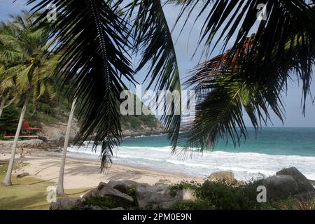 A Beach and Landscape of AOW Leuk Beach on the Ko Tao Island in the Province of Surat Thani in Thailand, Thailand, Ko Tao, März 2010 Stockfoto