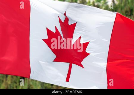 Kanadische Flagge im Banff-Nationalpark, Kanada. Stockfoto