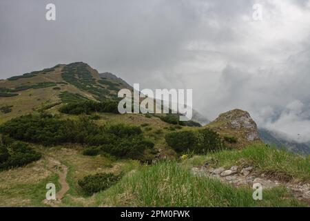 Bergpass Bublen, Pfad zum Maly Krivan, Nationalpark Mala Fatra, Slowakei, im Frühling bewölkt Stockfoto