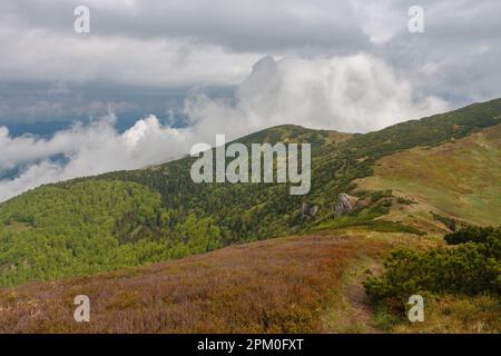 Bergpass Bublen, Blick vom Pfad nach Maly Krivan, Nationalpark Mala Fatra, Slowakei, im Frühling bewölkt Stockfoto