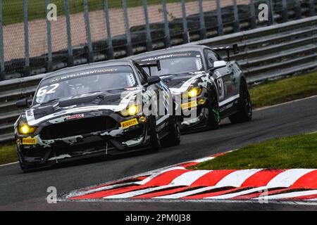 Oulton Park, Cheshire, Großbritannien. 10. April 2023. Academy Motorsport Ford Mustang GT4 (Nr. 62), gefahren von will Moore und Matt Nicoll-Jones in der GT4 Silver Class, führt Academy Motorsport Ford Mustang GT4 (Nr. 61), gefahren von Erik Evans und Matt Cowley in der GT4 Silver Class während Runde 1 der British GT Championship von Intelligent Money im Oulton Park. 10. April 2023 Kredit: Jurek Biegus/Alamy Live News Stockfoto