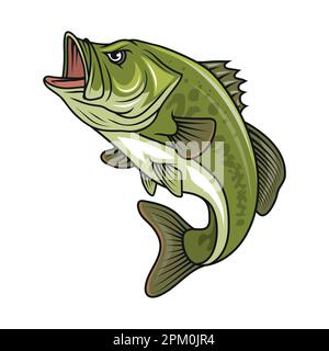 Barschfisch. Vektordarstellung von Largemouth-Barsch-Fischen Stock Vektor