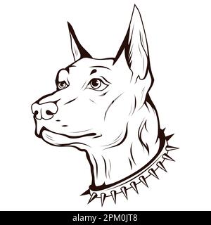 Doberman. Vektorzeichnung eines reinrassigen Haustiers. Hundekopf mit Stacheln. Stock Vektor