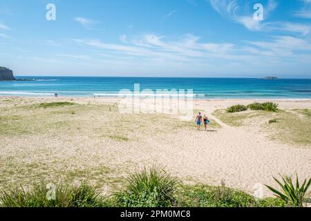 Unbekannte Touristen am Pebbly Beach. Kängurus, die sich in der Dämmerung versammeln, machen diesen Strand zu einem der berühmtesten Strände zwischen Sydney und Melbourne. Stockfoto