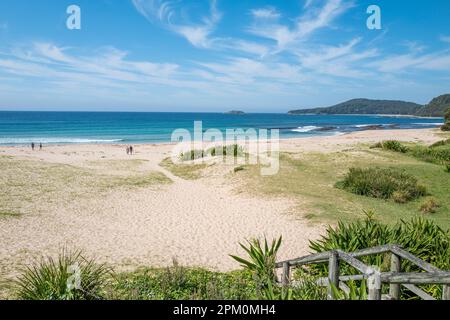 Unbekannte Touristen am Pebbly Beach. Kängurus, die sich in der Dämmerung versammeln, machen diesen Strand zu einem der berühmtesten Strände zwischen Sydney und Melbourne. Stockfoto