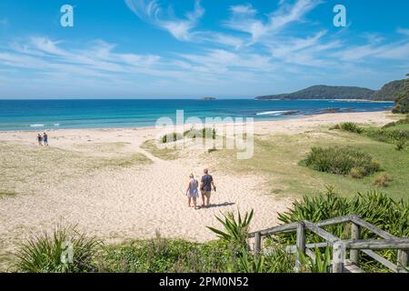 Unbekannte Touristen am Pebbly Beach. Kängurus, die sich in der Dämmerung versammeln, machen diesen Strand zu einem der berühmtesten Strände zwischen Sydney und Melbourne. Stockfoto