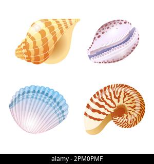 Satz von Vektordarstellungen von Muscheln verschiedener Formen und Arten im Cartoon-Stil Stock Vektor