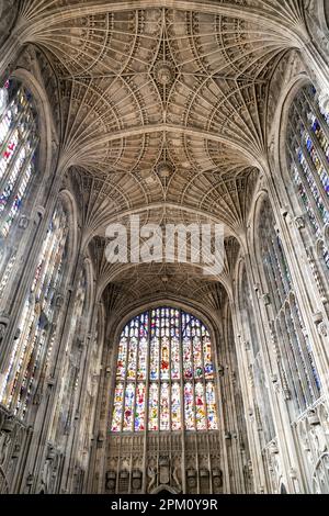 Buntglasfenster und Ventilatordecke der King's College Chapel an der Cambridge University, Cambridge, Großbritannien Stockfoto