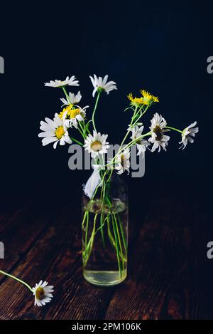 Blumenstrauß mit kleinen Kamillenblumen in der Flasche auf einem Holztisch Stockfoto