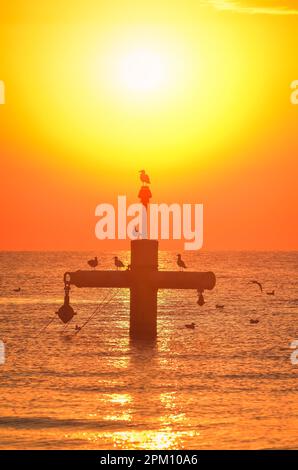 Sommermorgen Küstenlandschaft. Sonne und Vögel über der Ostsee. Foto am Strand in Gdynia, Polen. Stockfoto