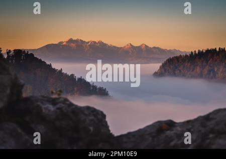 Fabelhafte farbenfrohe Herbstlandschaft. Magischer Morgen in den polnischen Bergen. Foto auf dem Gipfel der Sokolica in Pieniny, Polen. Stockfoto