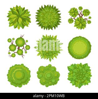Ansicht von oben mit Vektordarstellungen für Bäume und Büsche Stock Vektor