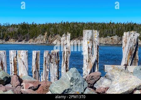 Zerschmetterte und zerbrochene Holzmauer hält einen Steinbruch. Wasser dahinter und Bäume weiter dahinter. Stockfoto
