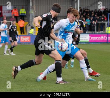 Barrow-in-Furness, Großbritannien. 10. April 2023. Barrow's GED Garner in Aktion während des Spiels der Sky Bet League 2 zwischen Barrow und Crawley Town in der Holker Street, Barrow-in-Furness am Montag, den 10. April 2023. (Foto: Ian Allington | MI News) Kredit: MI News & Sport /Alamy Live News Stockfoto