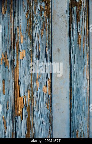 Detail von abblätternder blauer Farbe auf vertikalem altem vernachlässigtem Holzgaragentor in Netherbury, Bridport, Dorset, Vereinigtes Königreich Stockfoto