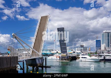 Blick auf die offene Brücke in Auckland im Viaduct Harbour Area, New Zeland Stockfoto