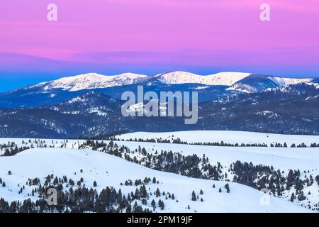 Vor der Morgendämmerung über den Saphirbergen und Ausläufern im Winter bei philipsburg, montana Stockfoto