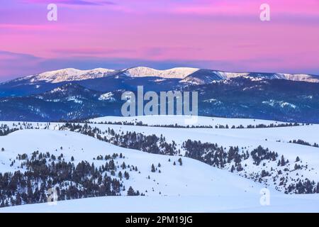 Vor der Morgendämmerung über den Saphirbergen und Ausläufern im Winter bei philipsburg, montana Stockfoto