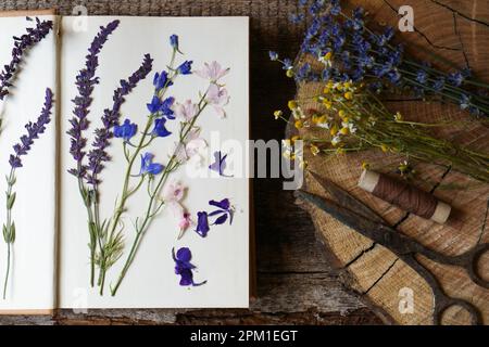 Alte Schere mit schönen getrockneten Blumen und Buch auf Holztisch, flach liegend Stockfoto