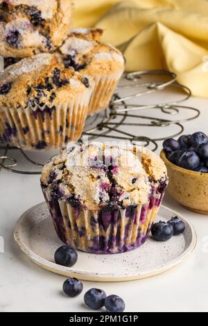 Blueberry Muffins mit frischen Blaubeeren Stockfoto