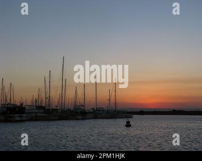 Marina mit angedockten Yachten bei Sonnenuntergang, Scarborough Marina Brisbane Stockfoto