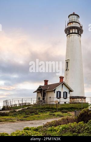 Pigeon Point Lighthouse ist ein Leuchtturm, der 1871 erbaut wurde, um Schiffe an der Pazifikküste Kaliforniens zu führen. Es liegt an der Küstenstraße 1 nahe P Stockfoto