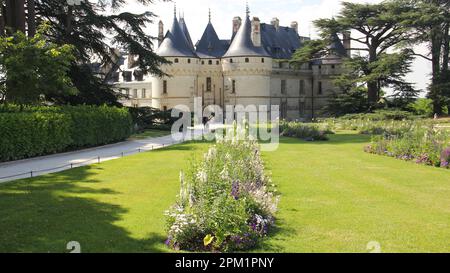 Chateau de Chaumont, grüner Rasen mit Blumenbeeten im Vordergrund, auf dem Weg zum Haupttor, Chaumont, Loire-Tal, Frankreich Stockfoto