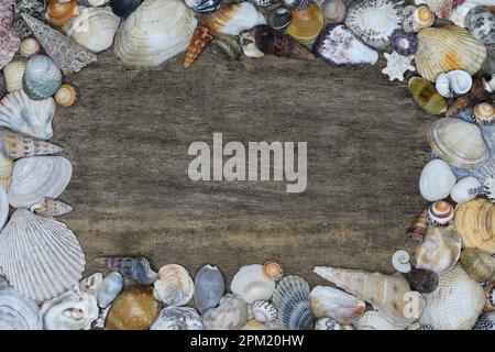 Ein Rahmen, Draufsicht einer Auswahl von Queensland, Australien, hat Muscheln angeschwemmt, die einen rustikalen Holzhintergrund in sanfter Beleuchtung umrahmen Stockfoto