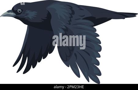 Großer schwarzer Vogel, Krähe in Bewegung, fliegender Rabe Stock Vektor