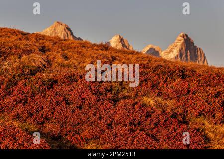 Blick von Roßbrand nach Hoher Dachstein, Dachstein, Salzburg, Österreich Stockfoto