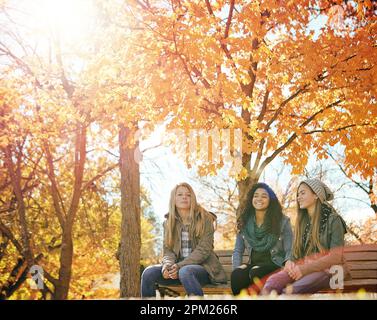Du kannst nicht einen Tag so schön drinnen verbringen. Eine Gruppe von Freunden, die an einem Herbsttag draußen abhängen. Stockfoto