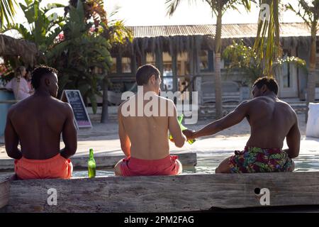 Fröhliche, vielfältige männliche Freunde, die eine Party am Pool feiern und Bier trinken Stockfoto