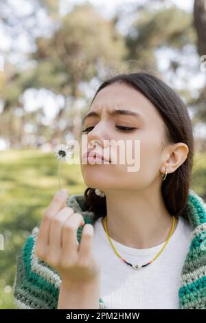 Fokussierte junge Frau, die Gänseblümchen im verschwommenen Sommerpark sieht, Stock Image Stockfoto