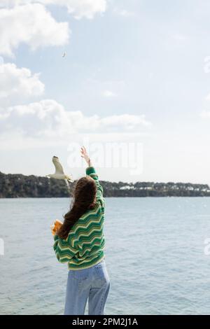 Rückansicht einer jungen Frau mit Brot in der Nähe einer Möwe, die über das Meer in Istanbul fliegt, Stockbild Stockfoto