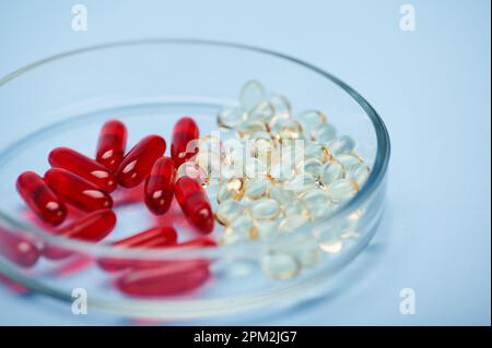 Durchsichtige Gelkapseln in Rot- und Goldfarbe mit Omega, Fischöl in Petrischale auf isoliertem blauem Hintergrund Stockfoto