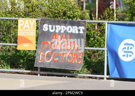 Hull Royal Krankenstation, E Yorkshire. 11. April 2023 Junge Ärzte in England begannen einen viertägigen Streik in einem Streit mit der Regierung über die Bezahlung. Der Gesundheitsminister Steve Barclay MP sagt, dass die Forderungen der BMA, der Gewerkschaft der Ärzte, unrealistisch seien und die Verhandlungen behindern. Die Ärzte sagen, dass sinkende Löhne zu einer Verbleib- und Rekrutierungskrise führen und dass die Lohnsteigerungen in den letzten 15yrs Jahren unter der Inflation lagen, was ein reales Defizit von 26 % zur Folge hatte. Kredit: Bridget Catterall/Alamy Live News Stockfoto