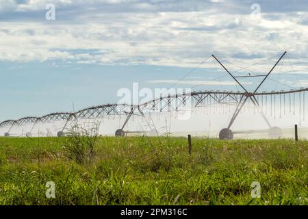 Goias, Goias, Brasilien – 06. April 2023: Bewässerungsmaschine, die die wachsende Ernte bewässert, an klaren Tagen mit Wolken am Himmel. Stockfoto