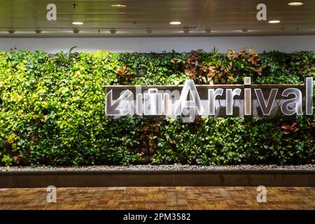 Ankunftsschild am Changi International Airport in Singapur. Changi ist das wichtigste Flugverkehrsknotenpunkt in Südostasien und bietet jährlich 66 Millionen Fluggäste an. Stockfoto