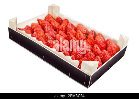 Frische Erdbeeren und Holzkiste isolierter weißer Hintergrund Stockfoto